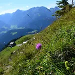 Alpenfrieden *