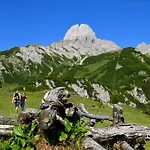 Апартаменты Alpenfrieden Санкт-Мартин-ам-Тенненгебирге