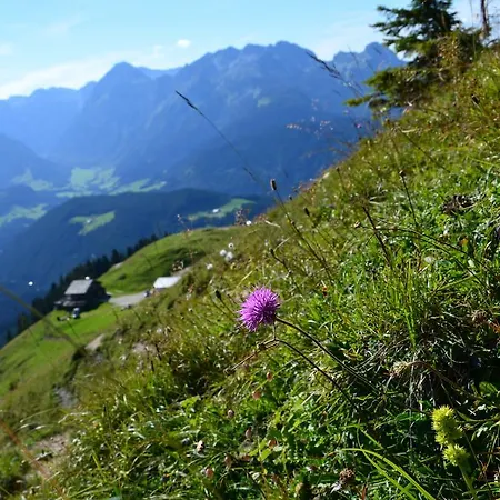 Alpenfrieden *